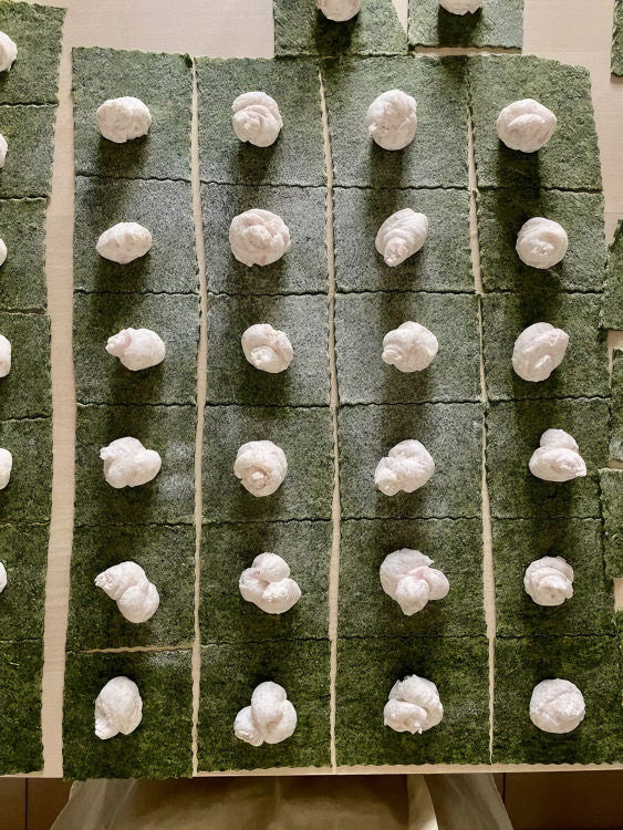 Gluten Free Pasta Class
